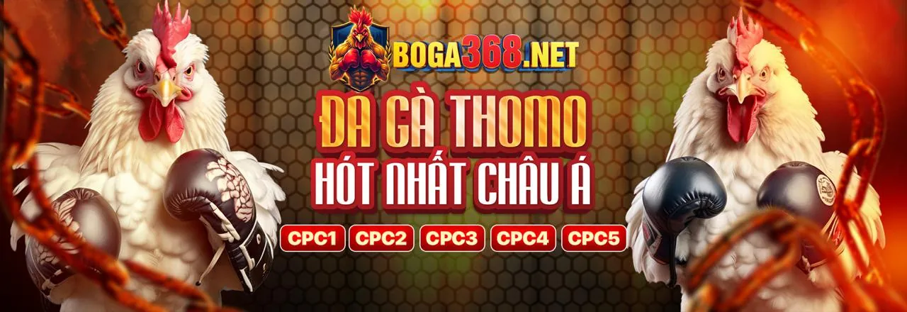 Tin tức ae88 đá gà mới nhất