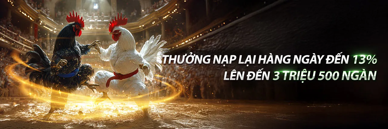 Hình ảnh hỗ trợ khách hàng ae88 Đá Gà